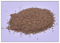 80 Mesh Ekstrakt z proszku selera, nasiona selera Apium Graveolens Extract For Arthritis
